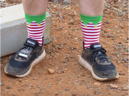 Feral jogger