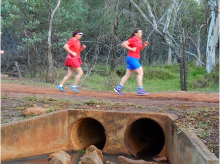 Feral jogger