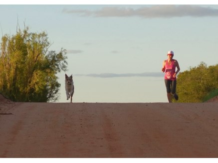 Feral jogger