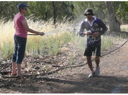 Feral jogger